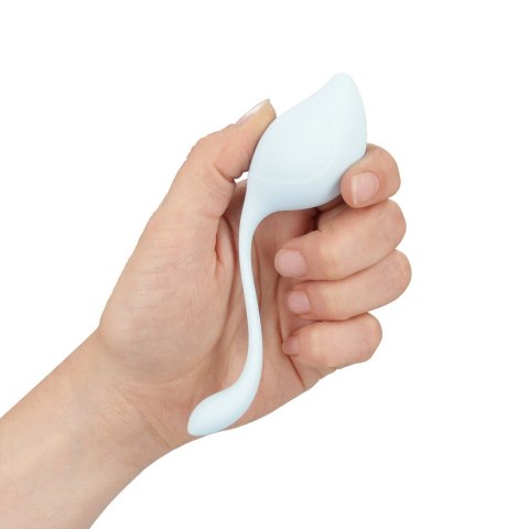 Loveline Pelvic Stem Kegel Kit zestaw kulek do ćwiczeń mięśni, 5 szt. Multicolor