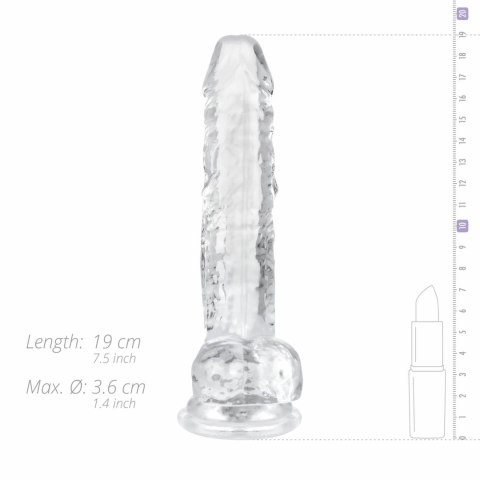 Dream Toys Crystal Clear Model 17 cm z anatomiczną podstawą