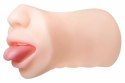 Evolved Real Mouth model anatomiczny z realistyczną powierzchnią 16 cm