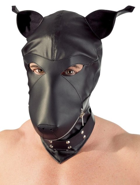 Fetish Collection maska pies z uszami czarna, kołnierz z pierścieniem Fetish Collection