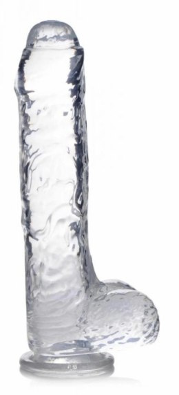 Curvetoys Jock C-Thru Transparent 25cm - model anatomiczny z przyssawką