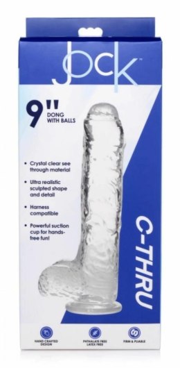 Curvetoys Jock C-Thru Transparent 25cm - model anatomiczny z przyssawką