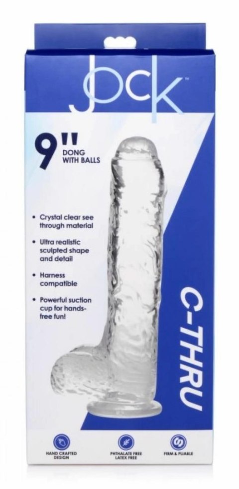 Curvetoys Jock C-Thru Transparent 25cm - model anatomiczny z przyssawką