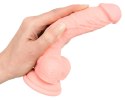 Medical Silicone Model 18cm - anatomiczny przyrząd silikonowy z przyssawką Medical Silicone