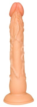 European Lover model 18 cm z przyssawką - anatomiczny kształt PVC European Lover