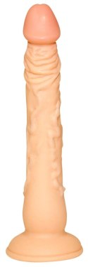 European Lover model 18 cm z przyssawką - anatomiczny kształt PVC European Lover