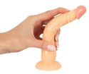 European Lover model 18 cm z przyssawką - anatomiczny kształt PVC European Lover