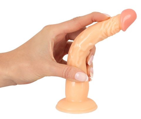 European Lover model 18 cm z przyssawką - anatomiczny kształt PVC European Lover