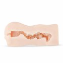 Emily Finch model Classic Sleeve anatomiczny TPR 16 cm