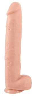 Realistixxx Model XXXL Naturalny 42cm - anatomiczny kształt, mocna podstawa Realistixxx