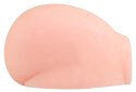 You2Toys Nature Skin model anatomiczny dwukanałowy 34x21x14 cm You2Toys