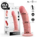 MR INTENSE Terence Big model anatomiczny z przyssawką 22,5 cm TPR MR. INTENSE