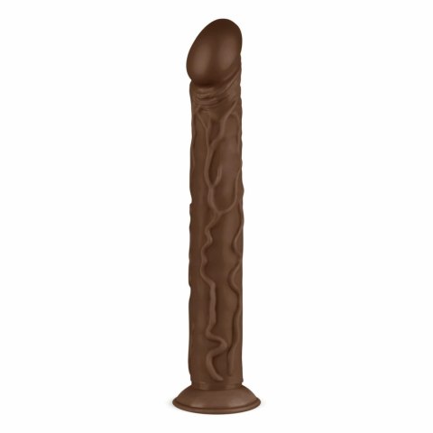 Real Fantasy David model anatomiczny z mocną przyssawką 35 cm Real Fantasy