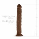 Real Fantasy David model anatomiczny z mocną przyssawką 35 cm Real Fantasy
