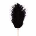 Rosy Gold Feather Tickler & Whip 2w1 - Roża Złota, elegancki design Rosy Gold