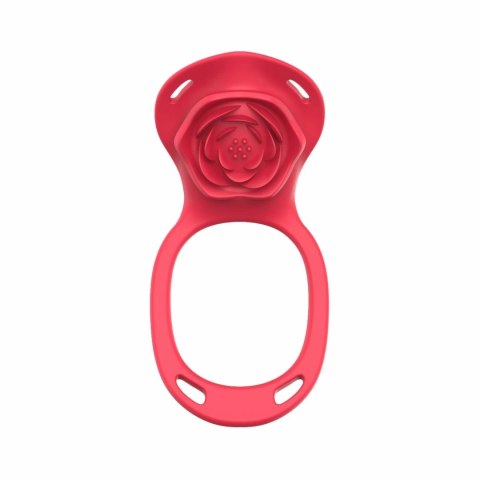 Teazers Harness Red - Intymny System Wibrujący z Pilotem USB Teazers