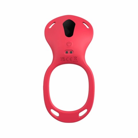 Teazers Harness Red - Intymny System Wibrujący z Pilotem USB Teazers