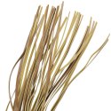 Fetish Submissive Origin pejcz wegański skora 28 cm czarny FETISH SUBMISSIVE