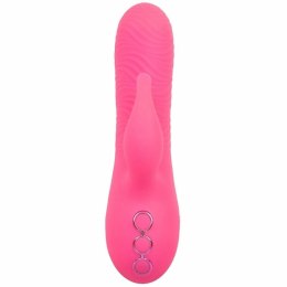 CalExotics Sacramento Sweetie Kalifornijski Wibrator Krolik Rożowy USB CALEXOTICS