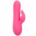 CalExotics Sacramento Sweetie Kalifornijski Wibrator Krolik Rożowy USB CALEXOTICS