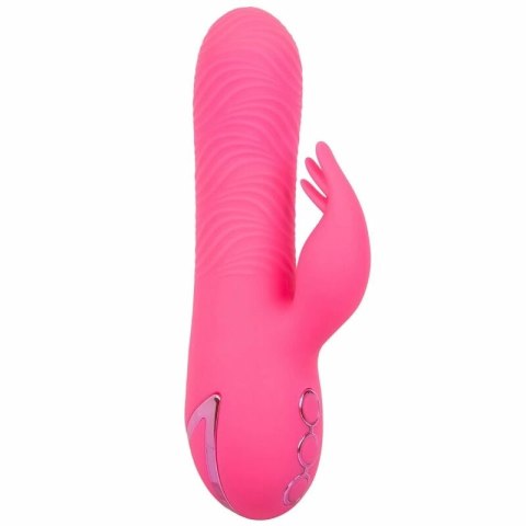 CalExotics Sacramento Sweetie Kalifornijski Wibrator Krolik Rożowy USB CALEXOTICS