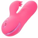 CalExotics Sacramento Sweetie Kalifornijski Wibrator Krolik Rożowy USB CALEXOTICS