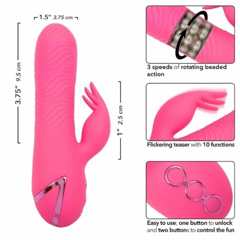 CalExotics Sacramento Sweetie Kalifornijski Wibrator Krolik Rożowy USB CALEXOTICS