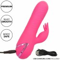 CalExotics Sacramento Sweetie Kalifornijski Wibrator Krolik Rożowy USB CALEXOTICS
