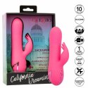 CalExotics Sacramento Sweetie Kalifornijski Wibrator Krolik Rożowy USB CALEXOTICS