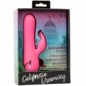 CalExotics Sacramento Sweetie Kalifornijski Wibrator Krolik Rożowy USB CALEXOTICS