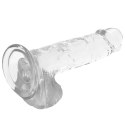 XRAY X Ray Clear 20 cm - przezroczysty model z kulkami, materiał Jelly X RAY