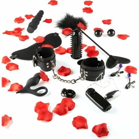 ToyJoy Zestaw Akcesoriow Intymnych 10 Elementow Multi-Funkcja TOYJOY
