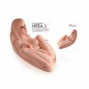 Hera 3 model anatomiczny z trzema kanałami TPR 3D