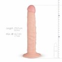 Real Fantasy Scott anatomiczny model z przyssawką, beżowy 20 cm