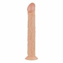 Real Fantasy Shawn XL - Model anatomiczny z przyssawką, 24 cm, beżowy