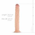 Real Fantasy Shawn XL - Model anatomiczny z przyssawką, 24 cm, beżowy