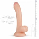 Real Fantasy Vince model anatomiczny z przyssawką 19,5 cm