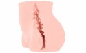 Cleo Model Anatomiczny Intymny z Teksturowanym Wnętrzem 8809392181166