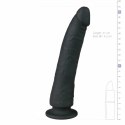 EasyToys Model z Przyssawką - Realistyczny Anatomiczny 18 cm, beżowy