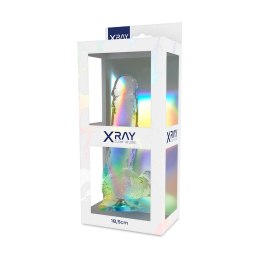 XRAY Model Clear żelowy 18,5 cm transparentny z kulkami, przyssawka