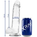 XRAY X Ray Clear - przezroczysty model anatomiczny z kulkami 22 cm