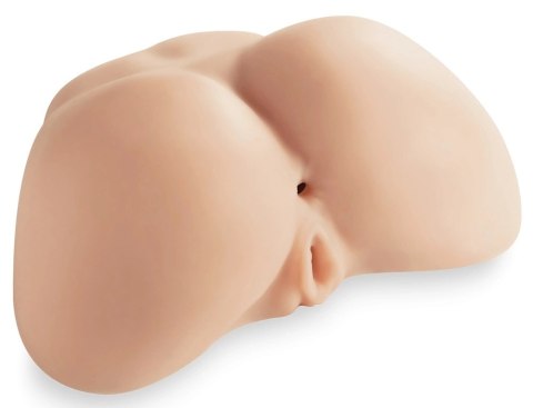 SilexD Daphne Model anatomiczny z systemem Silexpan, silikon, 27x32,5cm