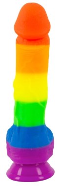 You2Toys PRIDE! silikonowy model intymny tęczowy 21 cm z podstawą