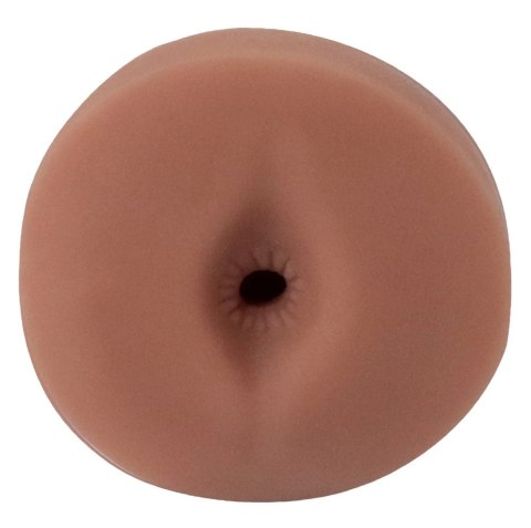 PDX Extreme Freshman Brown - kompaktowa maszyna intymna TPR 13,5 cm