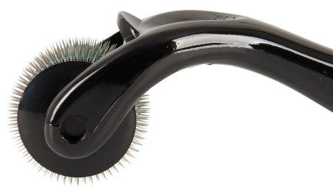 Fetish Collection Wartenberg Micro Pinwheel 13,4 cm stal nierdzewna