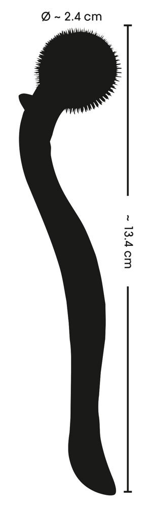 Fetish Collection Wartenberg Micro Pinwheel 13,4 cm stal nierdzewna