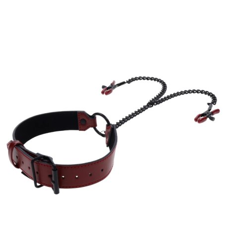 Sportsheets Saffron Collar regulowana obroża z łańcuszkiem czerwono-czarna