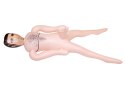You2Toys Lalka dmuchana Listonosz 165 cm z anatomicznym elementem 20 cm