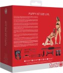 Ouch! Puppy Play Kit L/XL - skorzany zestaw akcesoriow neoprenowych