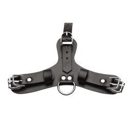 XR Brands Pup Mask z Regulowaną Maską i Przepuszczalnym Ustnikiem